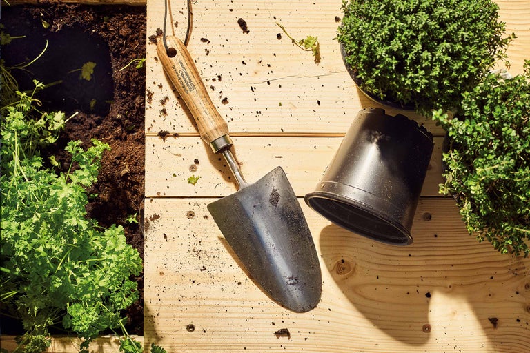 Tuinscene met plantenschep, kweekpot en kruiden op houten tafel