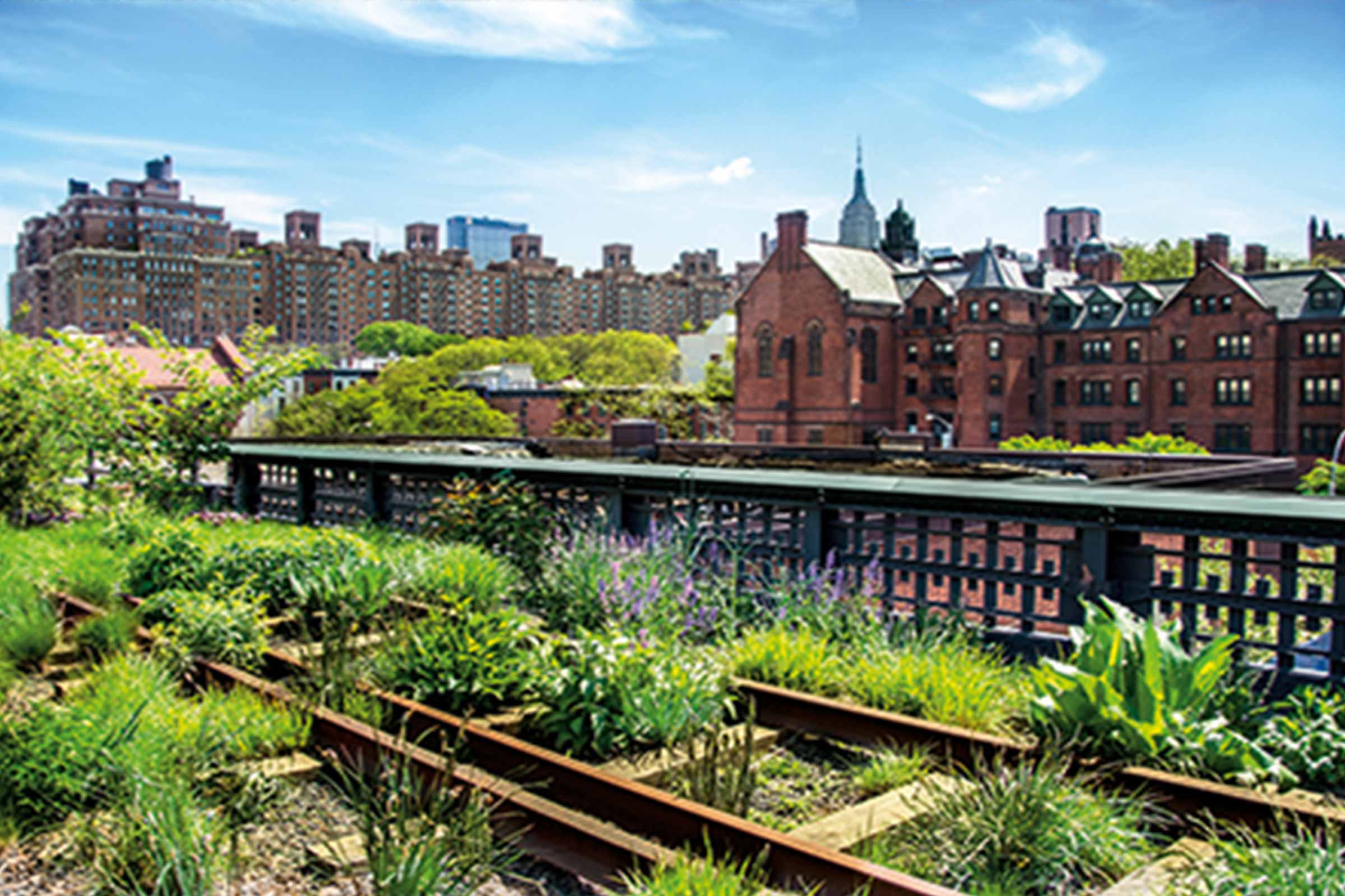 De High Line in New York met beplanting, sporen en de skyline op de achtergrond