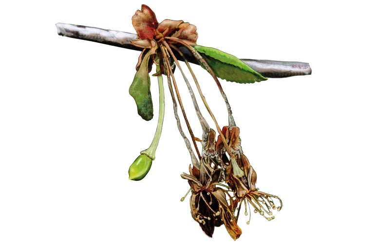 Tak met bloemen en bladeren