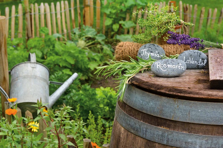 Tuinstilleven met kruiden, stenen met kruidennamen en gieter voor tuinafsluiting
