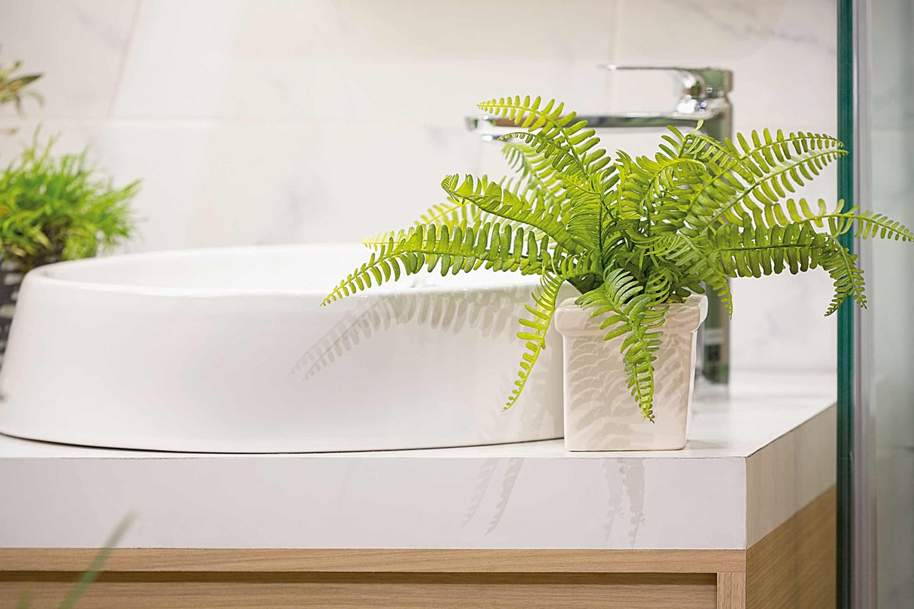 Moderne badkamer met waskom, kraan en potplant