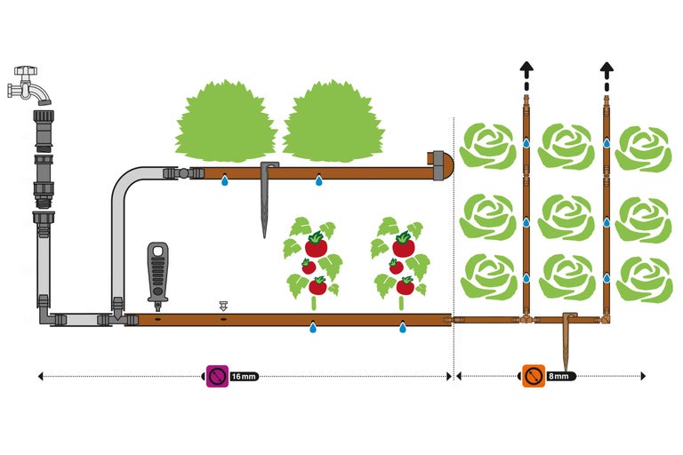 Illustratie van een irrigatiesysteem voor een tuin met groentebedden en planten