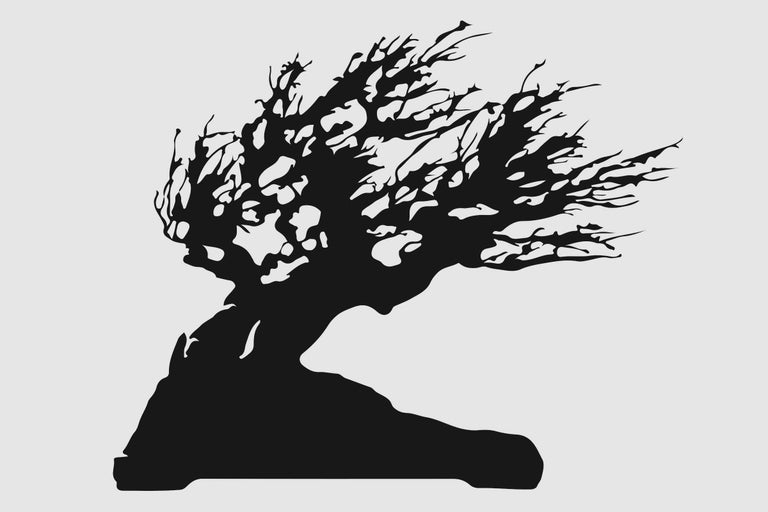 Silhouette van een bonsai boom