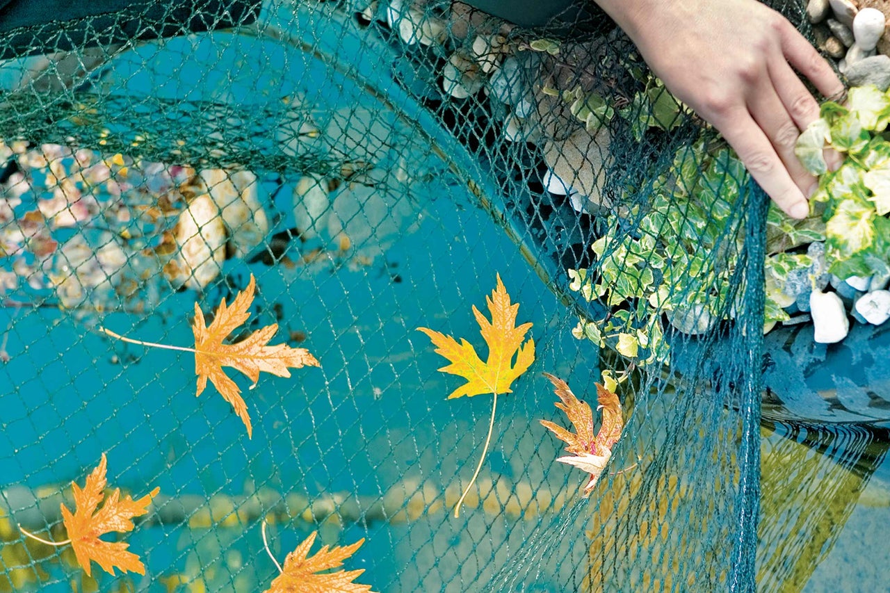 Vijver met beschermnet en herfstbladeren