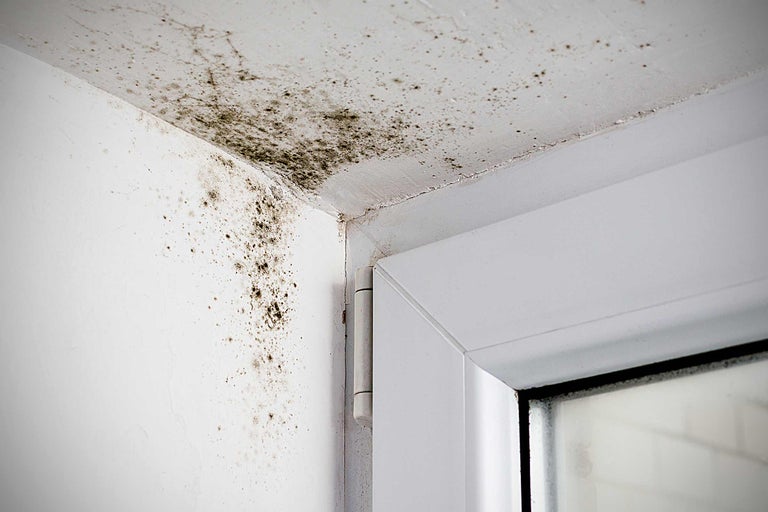 Schimmel op muur en plafond naast een raamkozijn
