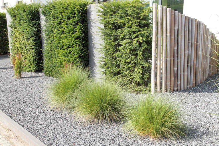 Tuinscene met groenblijvende struiken, siergrassen, bamboe schutting en grind