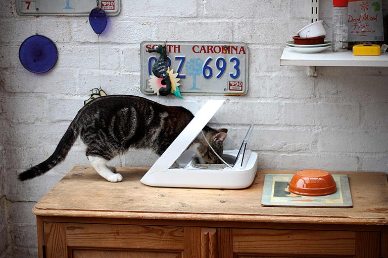 Een gestreepte kat eet uit een automatische voerbak op een houten kast.