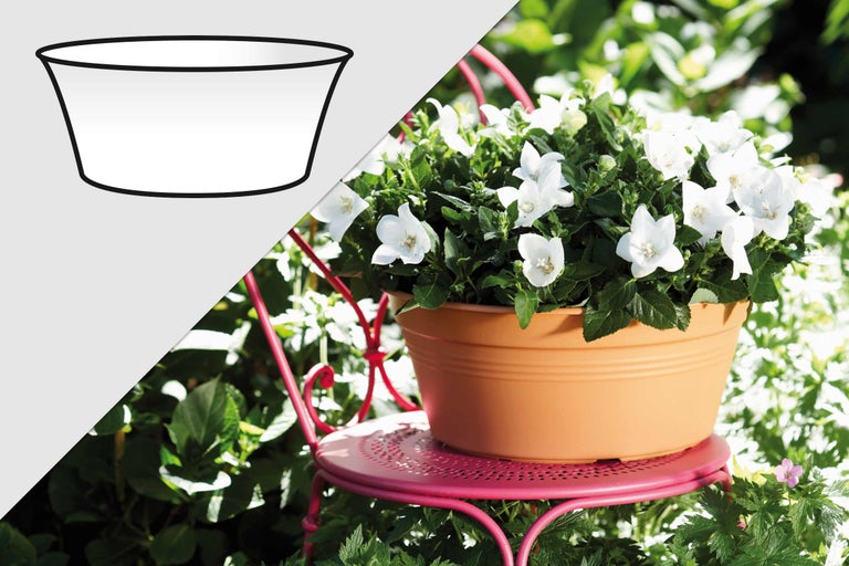 Bloempot met ballonbloemen op een tuinstoel