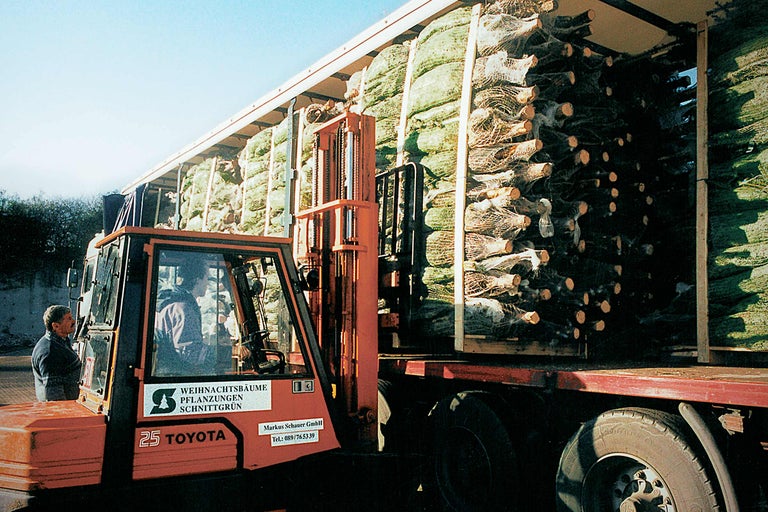 Heftruck laadt kerstbomen op een vrachtwagen voor levering