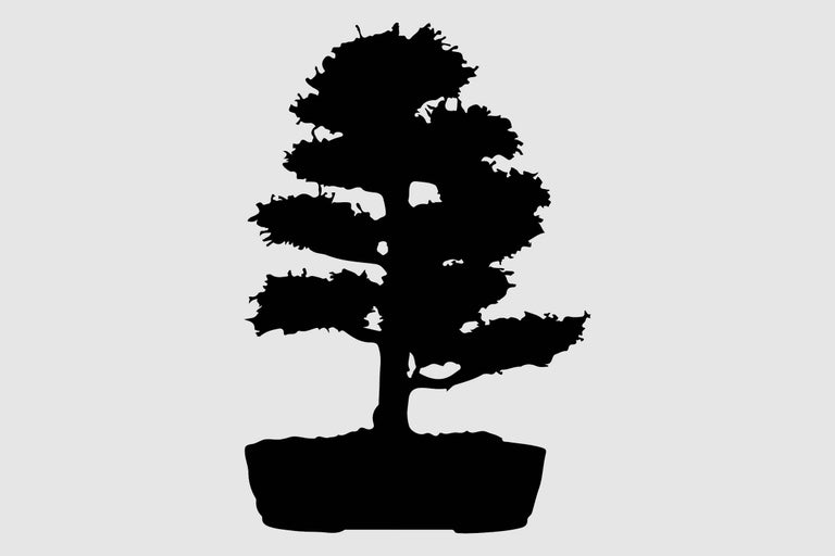Silhouette van een bonsai boom in een pot