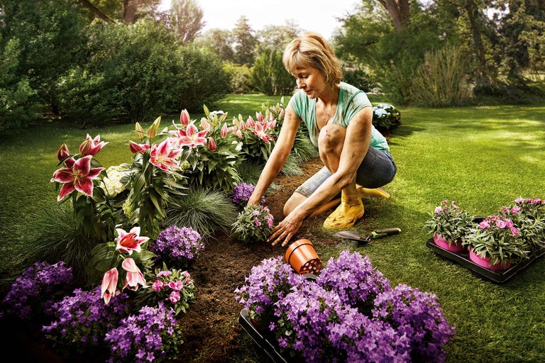 Een vrouw plant bloemen in een tuin met lelies, klokjesbloemen en anjers.