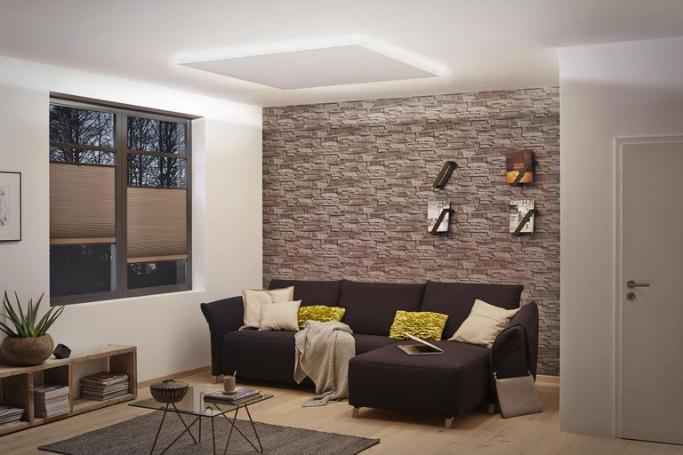 Moderne woonkamer met plafondlamp, bank en raam