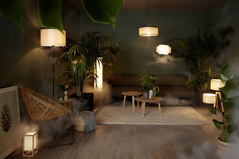 Woonkamer met diverse lampen, een bank, een fauteuil en planten voor een gezellige sfeer