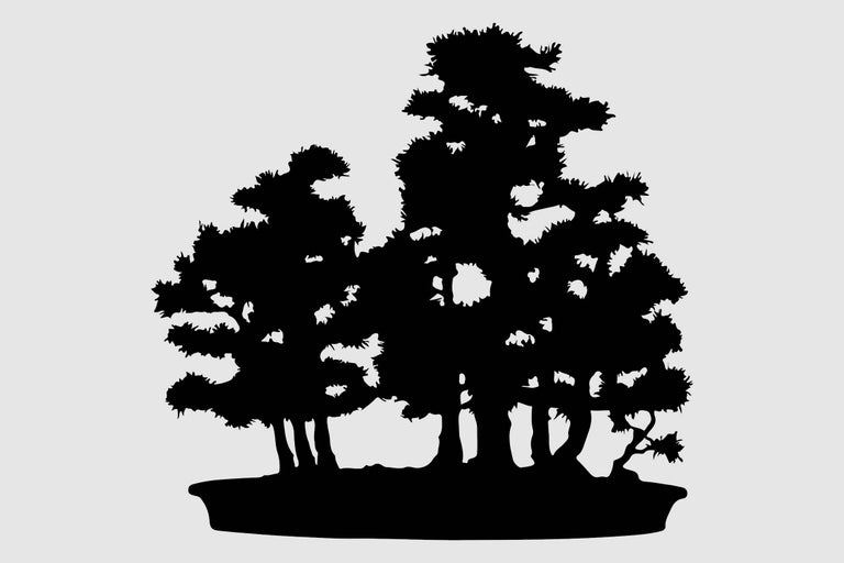 Silhouette van een bonsai boomgroep in een schaal
