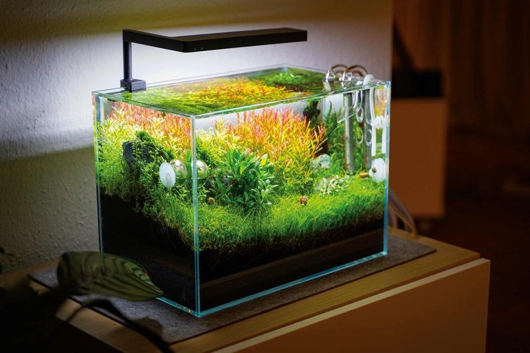 Aquarium met beplanting en verlichting op een tafel