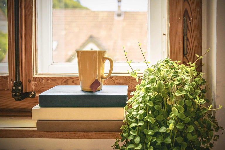 Decoratieve scène met kop thee, boeken en kamerplant bij het raam