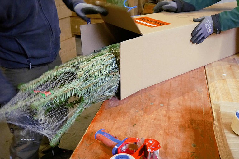 Iemand pakt een ingepakte kerstboom in een kartonnen doos voor verzending.