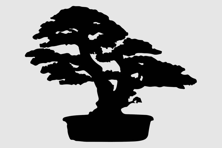 Silhouet van een bonsai-boom in een pot