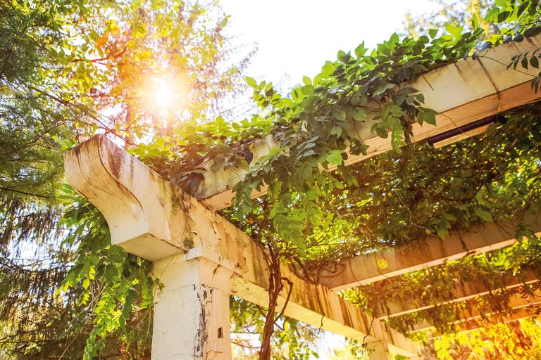 Pergola ideeën