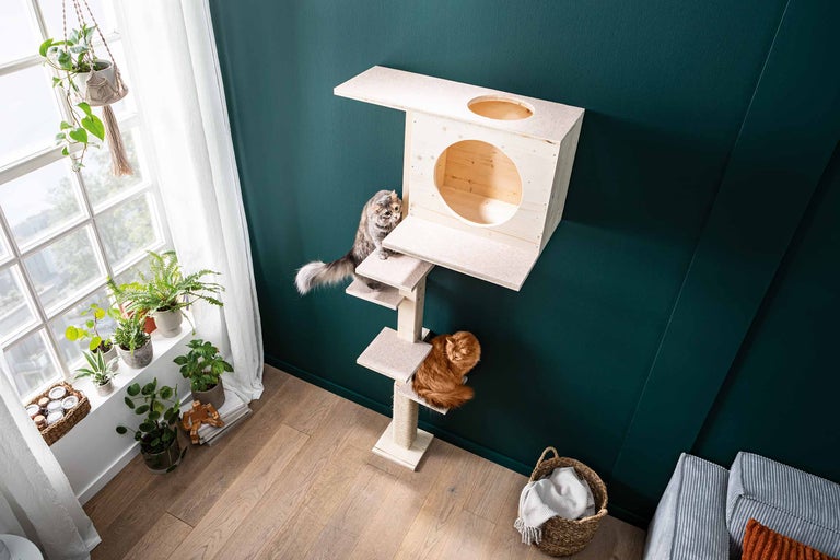 Houten krabpaal met twee katten in een lichte kamer.