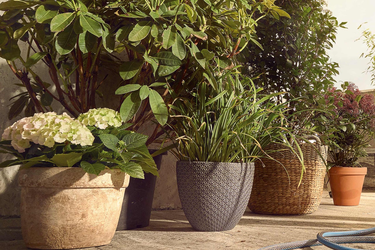 Verschillende planten in plantenbakken op een terras