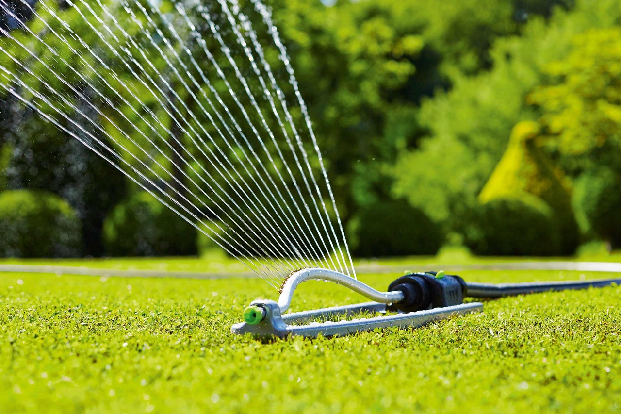 Gazonsproeier in gebruik voor tuinberegening