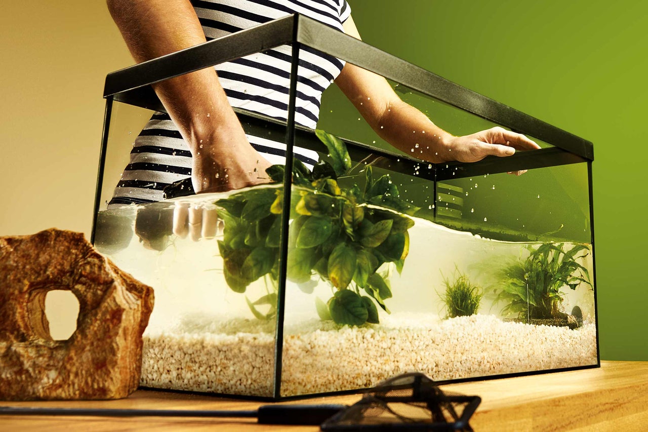 Aquarium met water, planten en decoratieve stenen