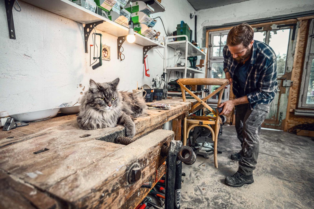 Werkplaats scène met vakman die een houten stoel bewerkt en een kat die op een werkbank ligt.