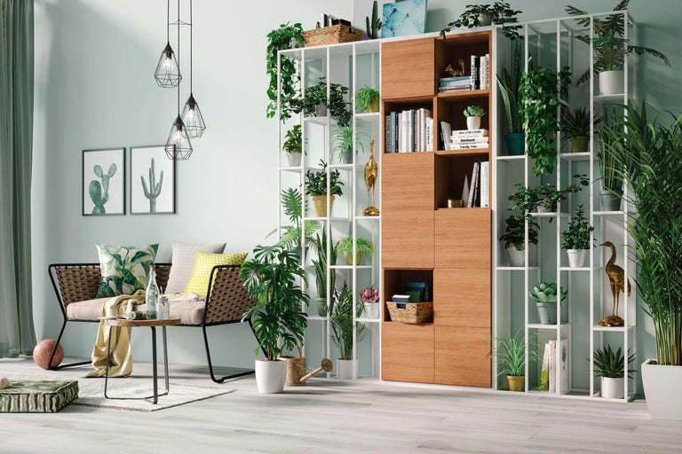 Woonkamer met rek, bank en kamerplanten voor een lichte en vriendelijke sfeer