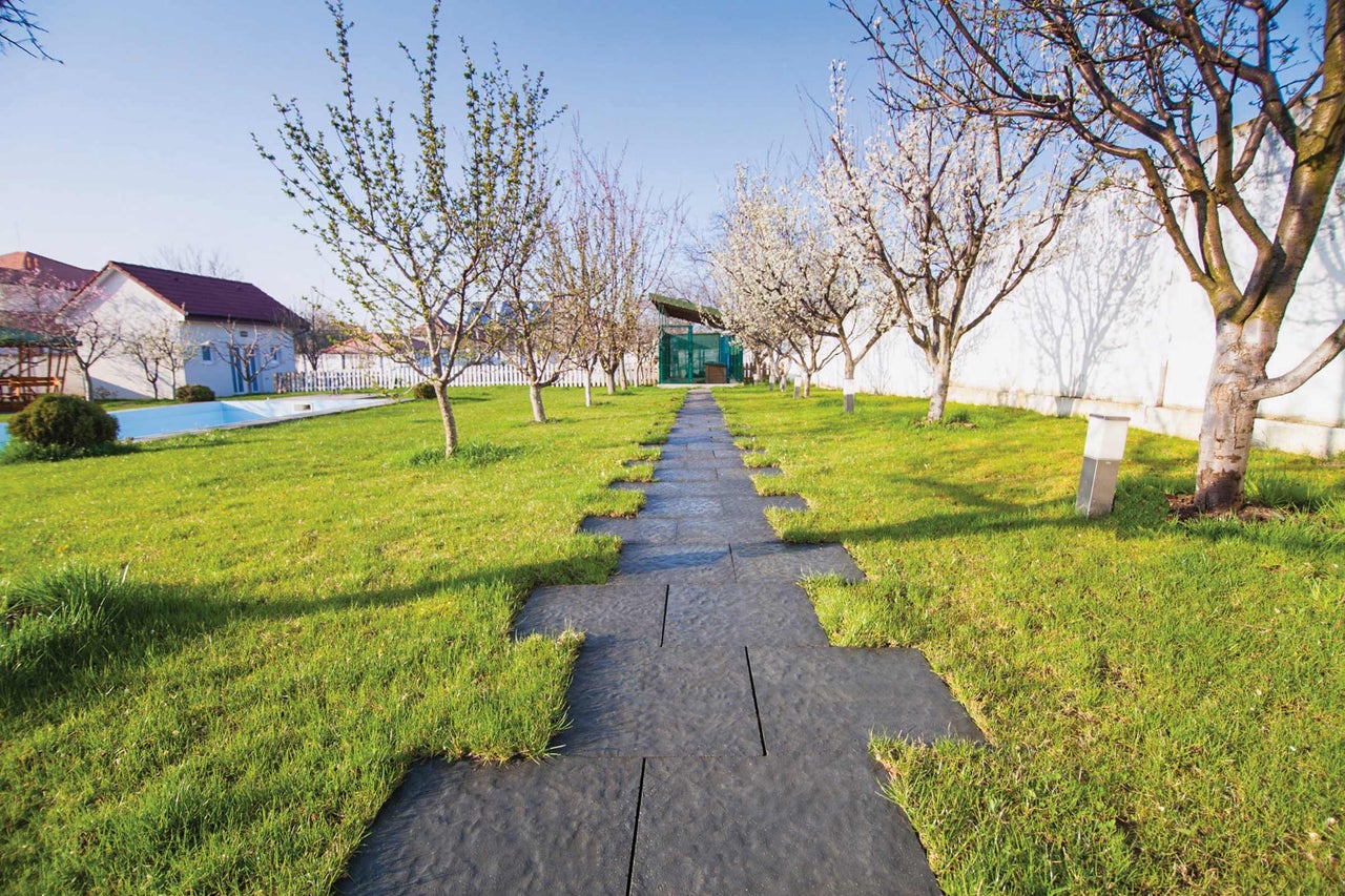 Tuinlandschap met gazon en een pad van tuintegels