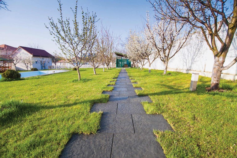 Tuinlandschap met gazon en een pad van tuintegels