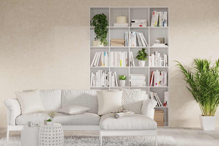 Woonkamer met witte boekenkast, bank, kamerplanten en decoraties