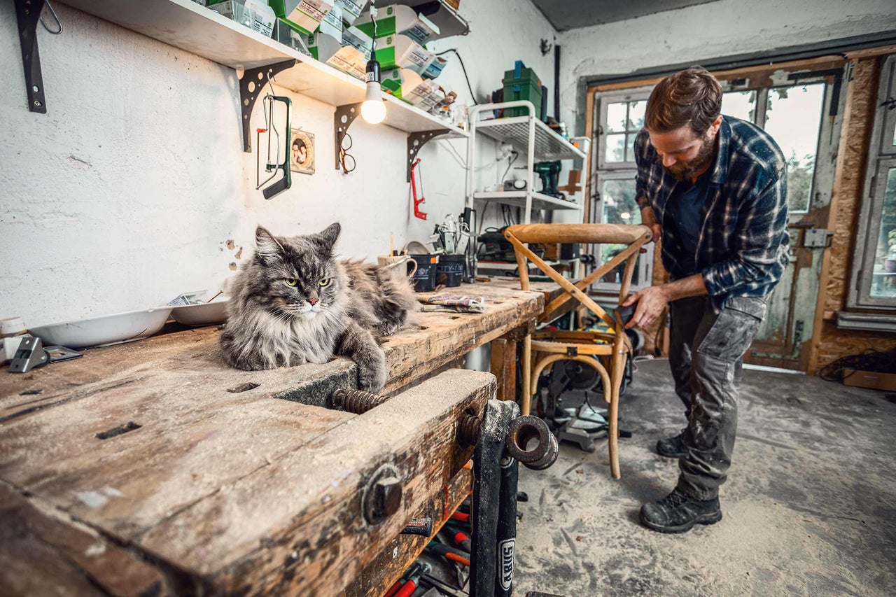 Werkplaats scène met een kat op een werkbank en een man die een houten stoel bewerkt.