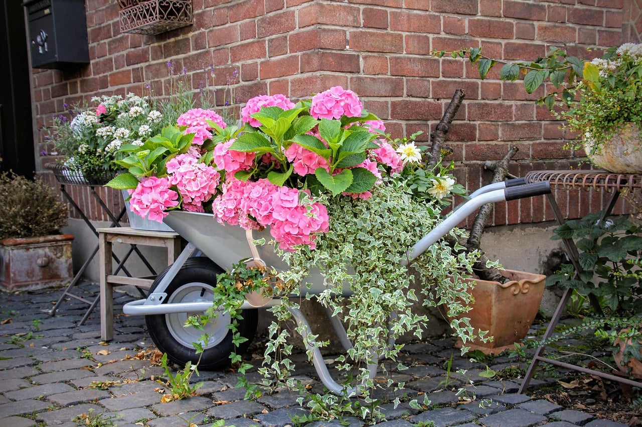 Bloemstuk met hortensia's in een kruiwagen voor een bakstenen muur