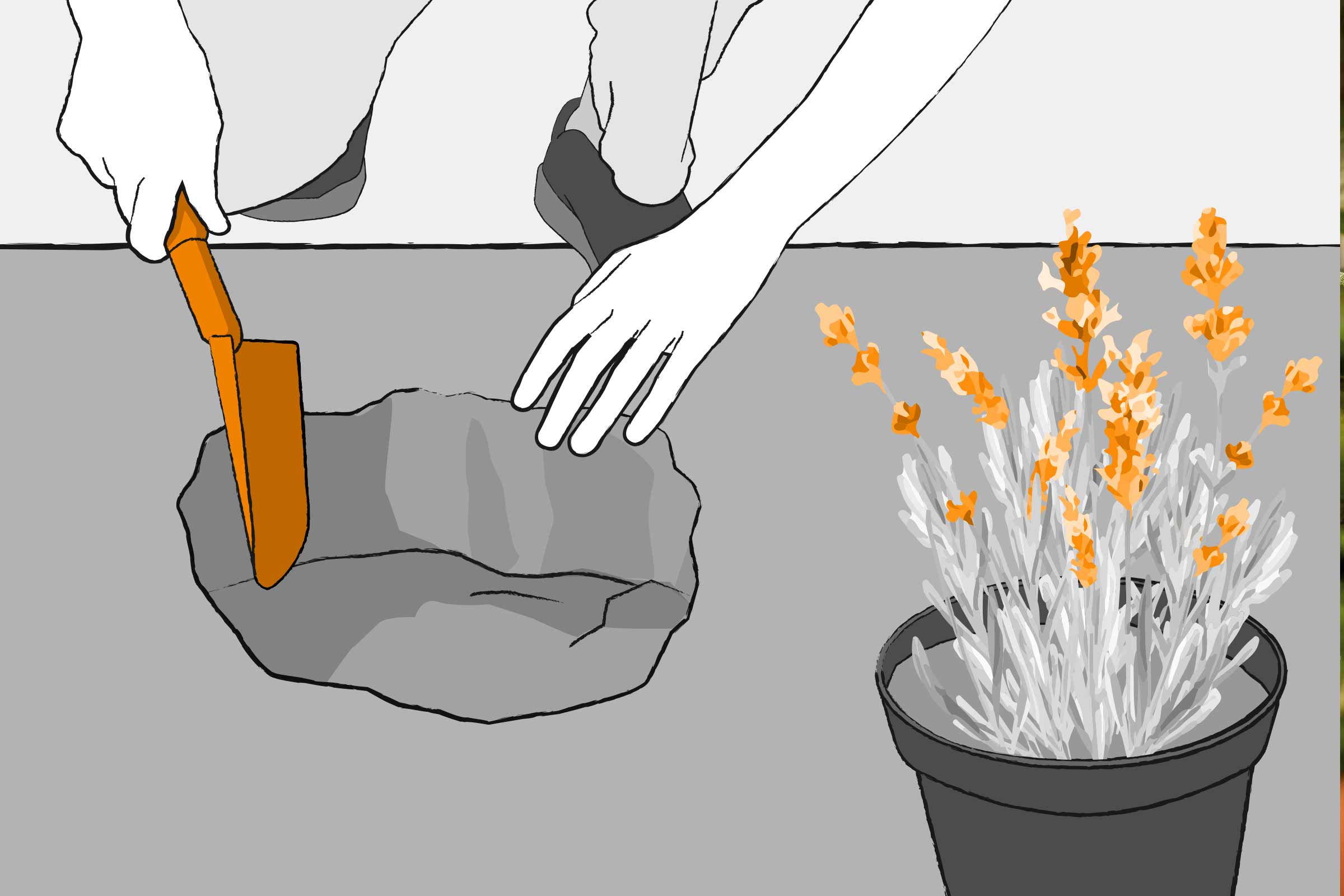 Illustratie van een tuinman die een plant in een rotstuin plant