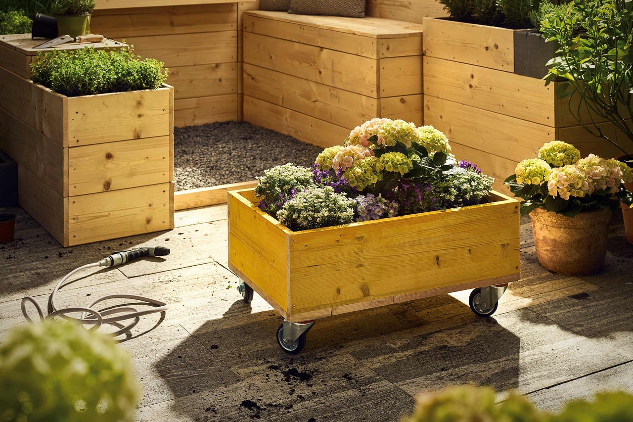 Scene met houten plantenbakken en diverse planten op een terras.