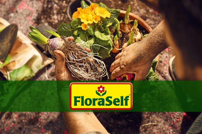 Tuinman plant bloembollen in een pot, FloraSelf logo