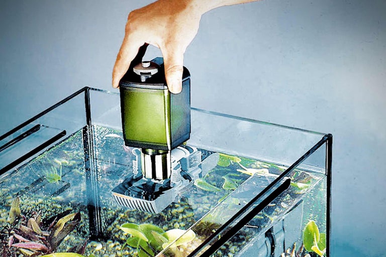 Aquarium met intern filter en hand