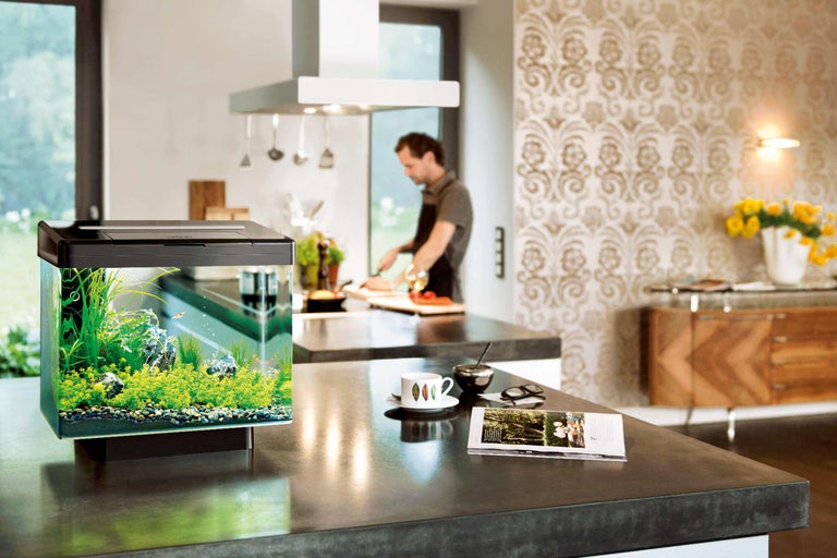 Aquarium met planten en vissen op een aanrecht in een lichte en ruime keuken.