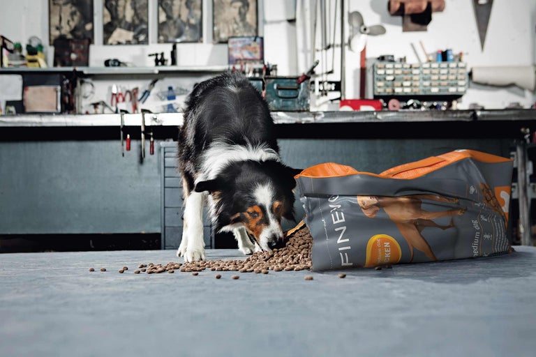 Een bordercollie eet hondenvoer uit een open pak Finevo hondenvoer.