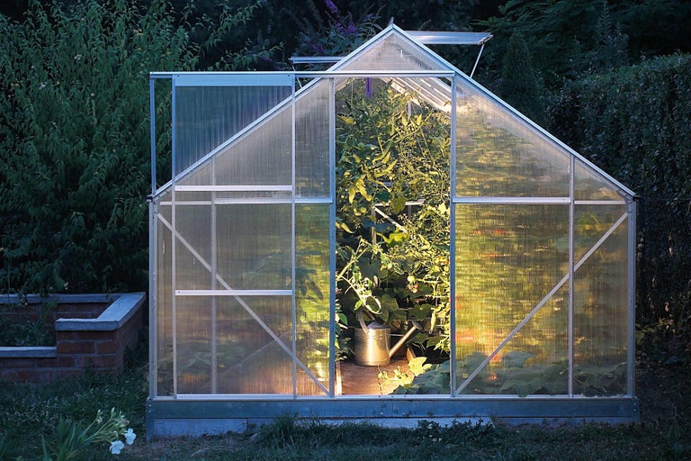 Kas met open deur en planten binnenin