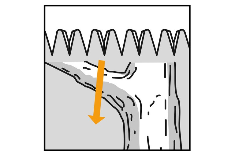 Symbolische afbeelding voor de aanbevolen snijrichting van een tak