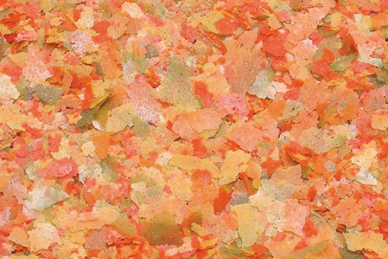 Close-up van visvoer vlokken