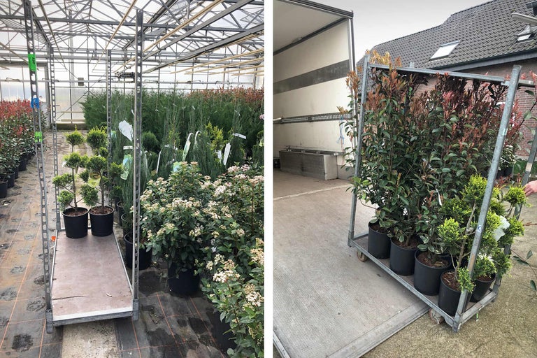 Kas met diverse planten in potten op een transportwagen voor levering
