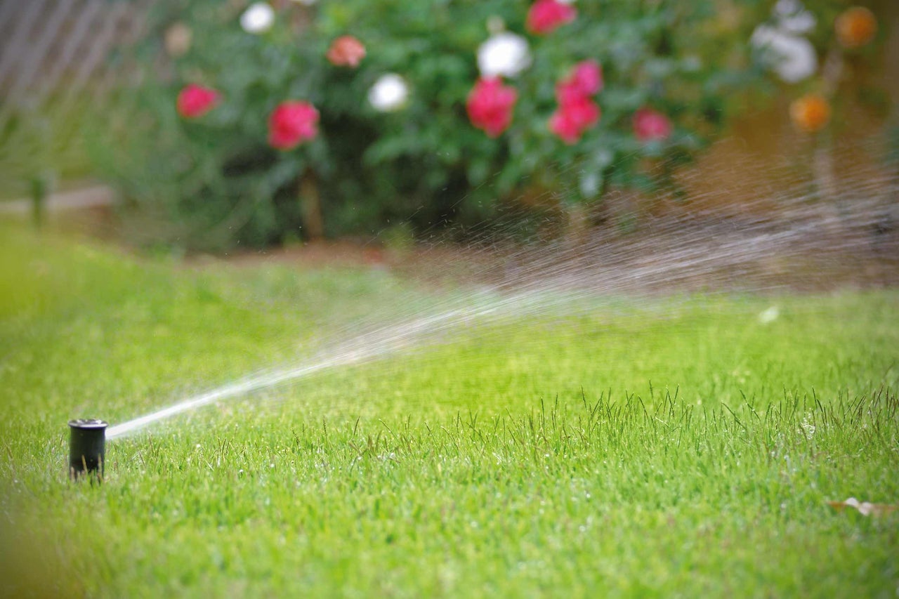 Pop-up sprinkler besproeit een gazon in de tuin