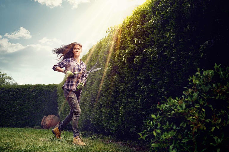 Vrouw snoeit haag met een heggenschaar in de tuin