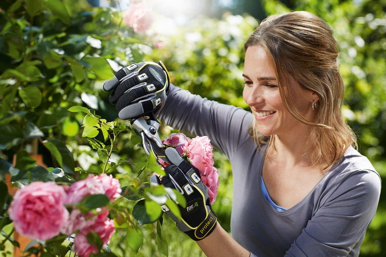 Vrouw snoeit rozen met een snoeischaar en draagt tuinhandschoenen.
