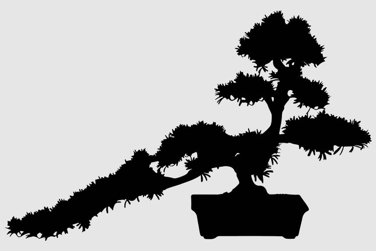 Silhouette van een bonsai boom in een pot