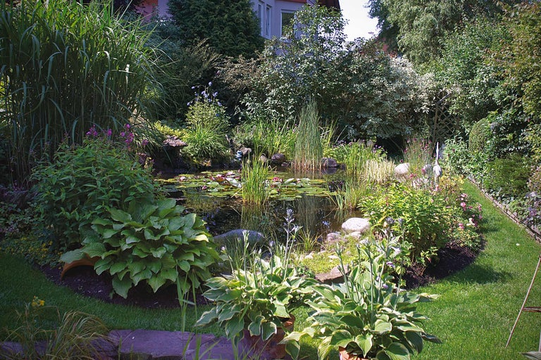 Tuinvijver met weelderige vegetatie en waterlelies