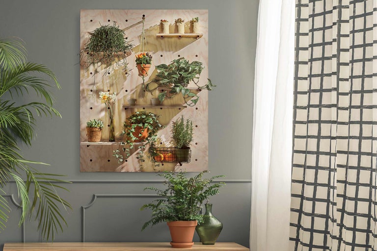 Decoratieve wand met planten en planken in interieur
